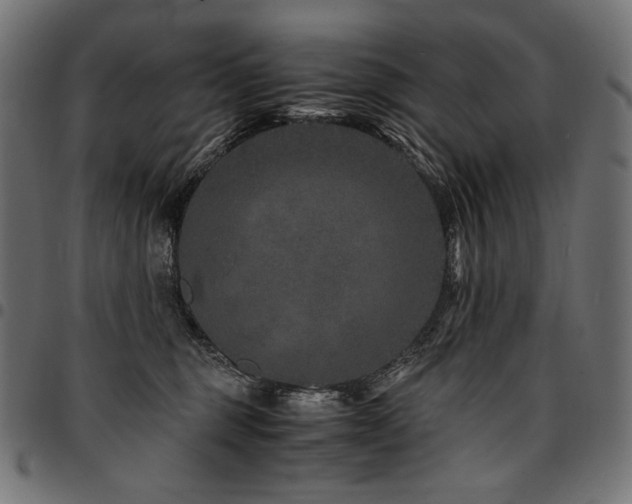 X0000095540375200712141530