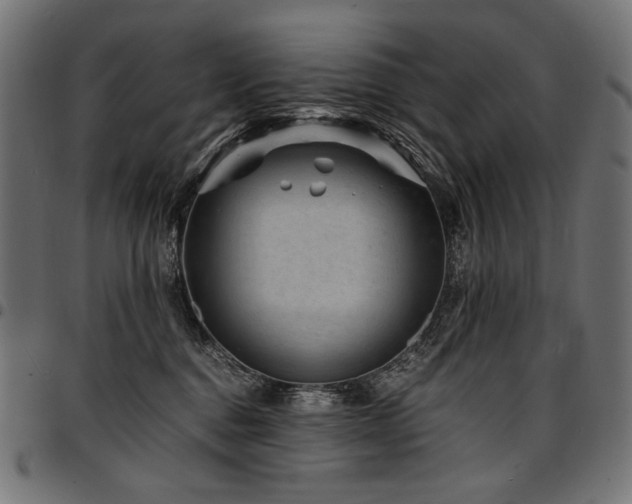 X0000095540376200712141530