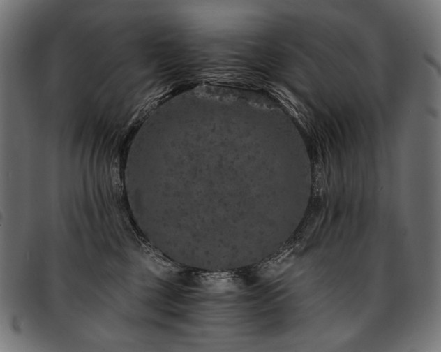 X0000095540377200712141530