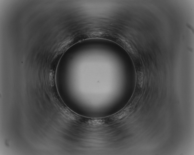 X0000095540378200712141530