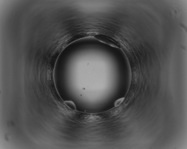 X0000095540379200712141530