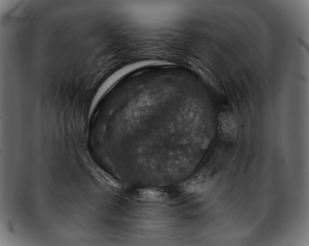 X0000095540380200712141530