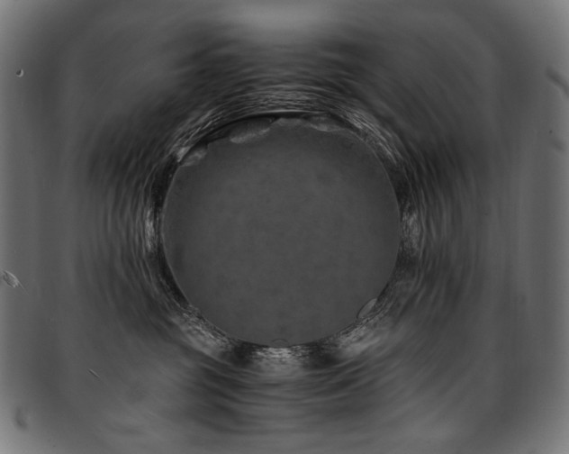 X0000095540381200712141530