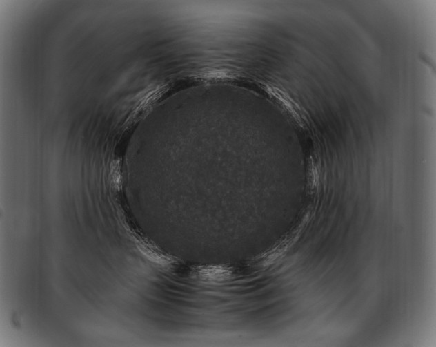 X0000095540383200712141530