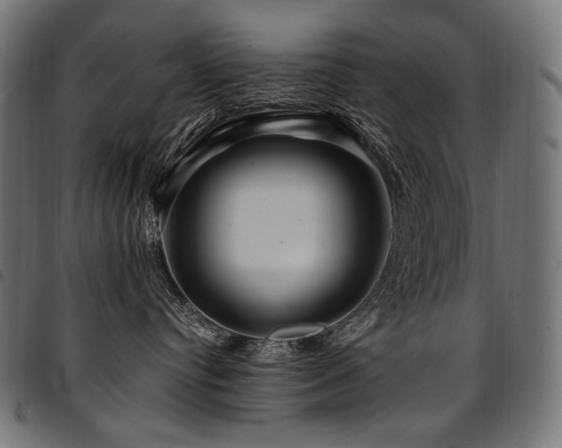 X0000095540384200712141530