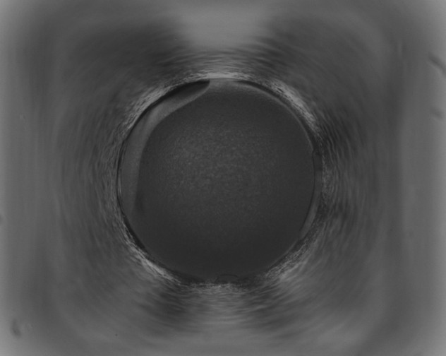 X0000095540385200712141529