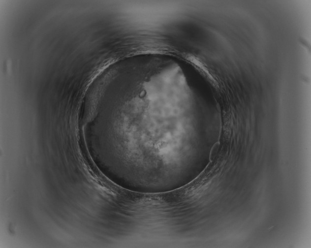 X0000095540386200712141529