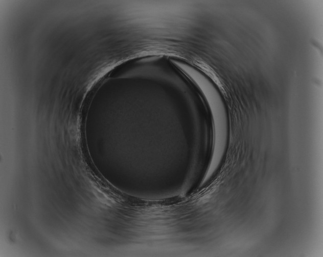 X0000095540387200712141529