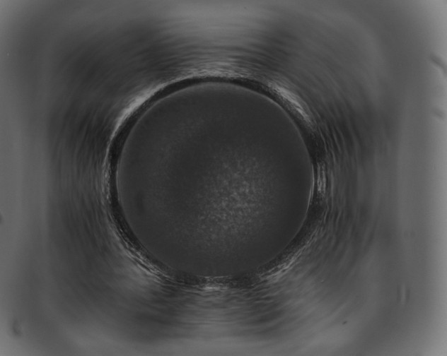 X0000095540388200712141529