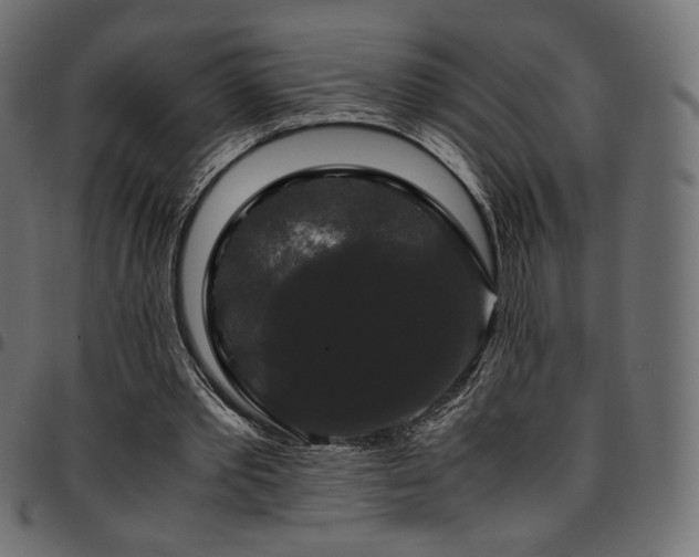 X0000095540389200712141529