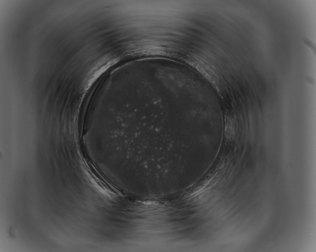 X0000095540390200712141529