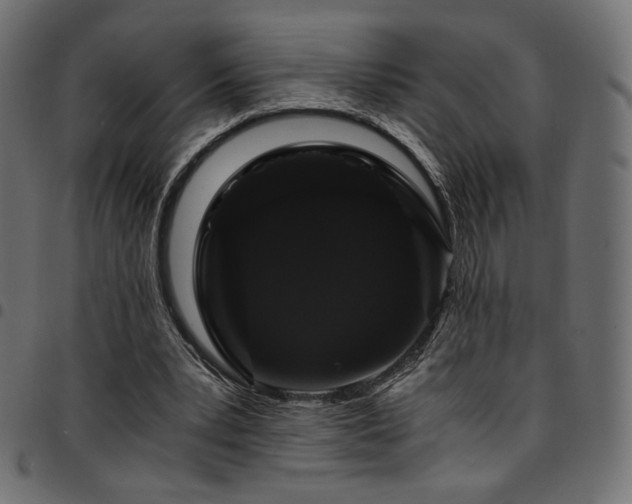 X0000095540391200712141529