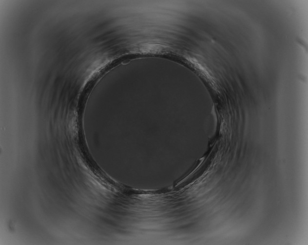 X0000095540392200712141529