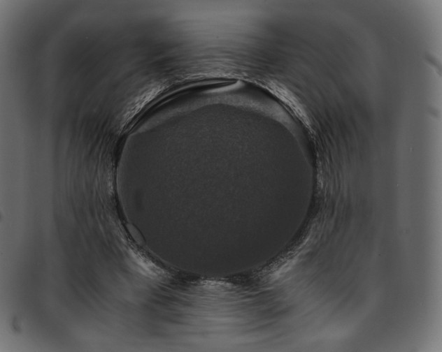 X0000095540393200712141529