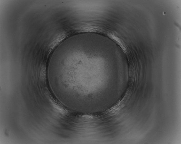 X0000095540394200712141529