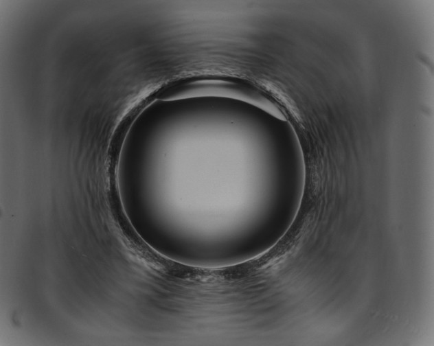 X0000095540395200712141529