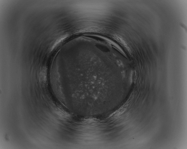 X0000095540396200712141529