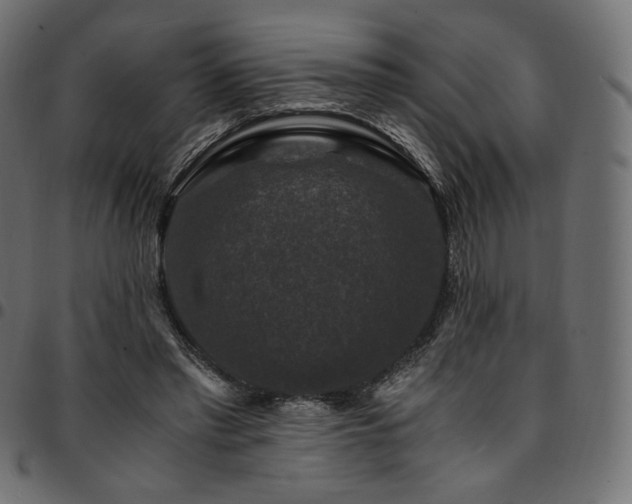 X0000095540397200712141529