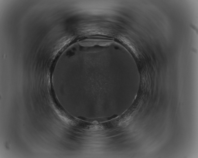 X0000095540398200712141529