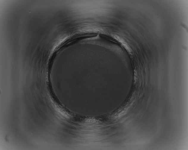 X0000095540399200712141529