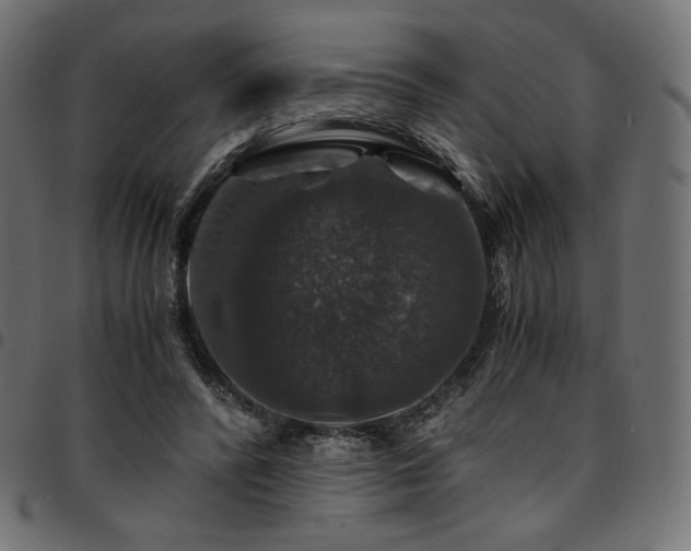 X0000095540400200712141529