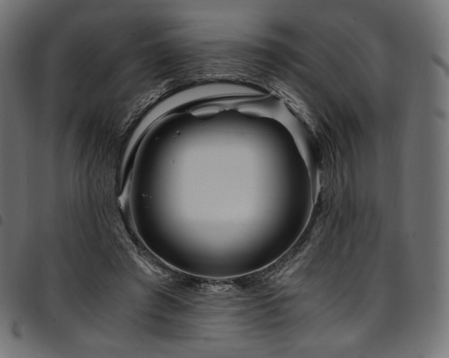 X0000095540401200712141529