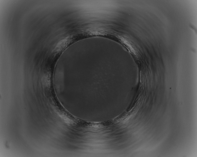 X0000095540402200712141529