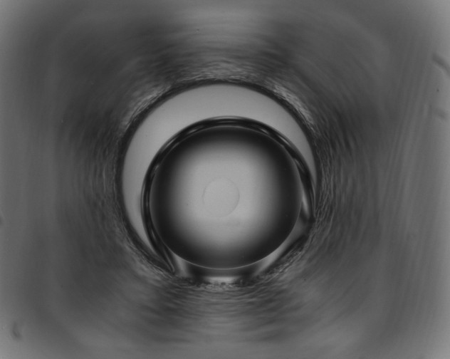 X0000095540403200712141529