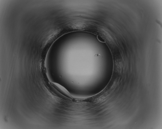 X0000095540404200712141529