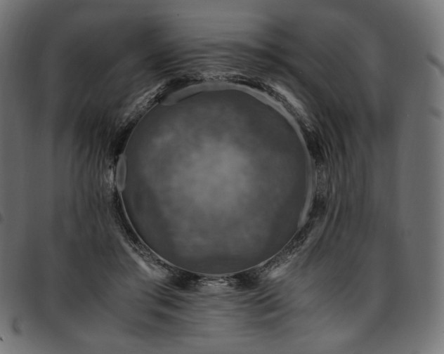 X0000095540405200712141529