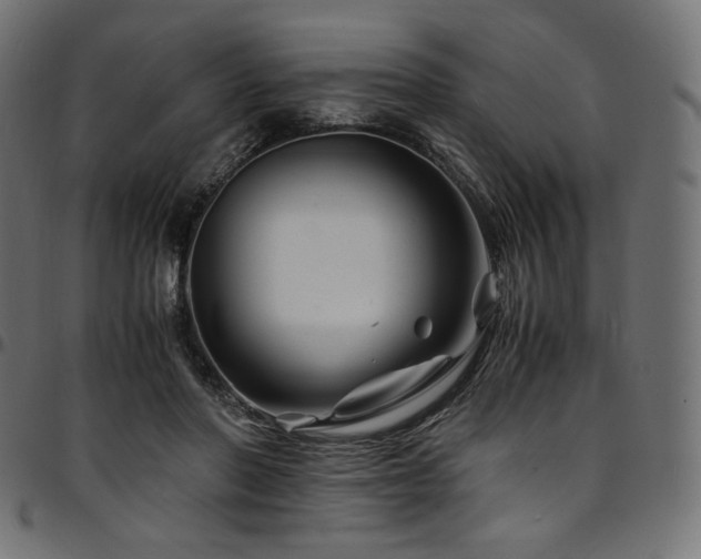 X0000095540406200712141529