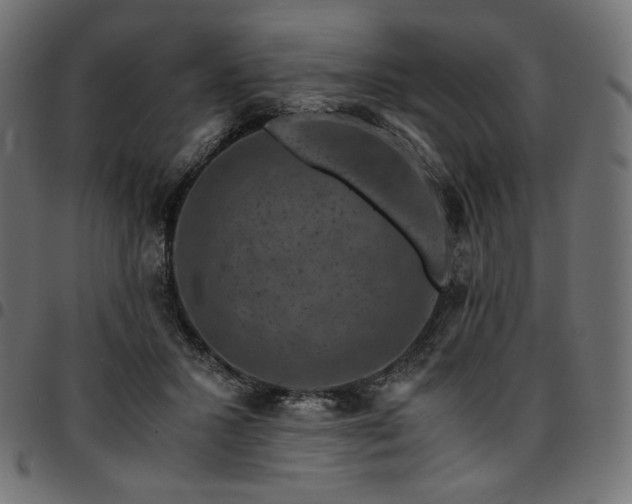 X0000095540407200712141529