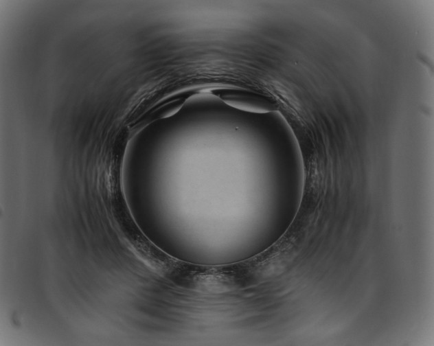 X0000095540408200712141529