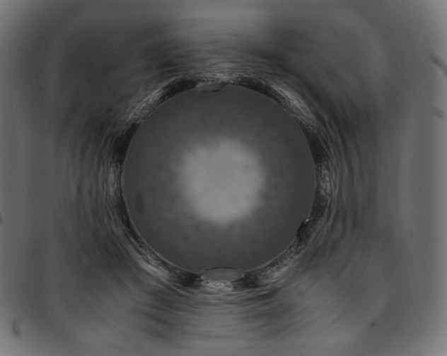 X0000095540409200712141529