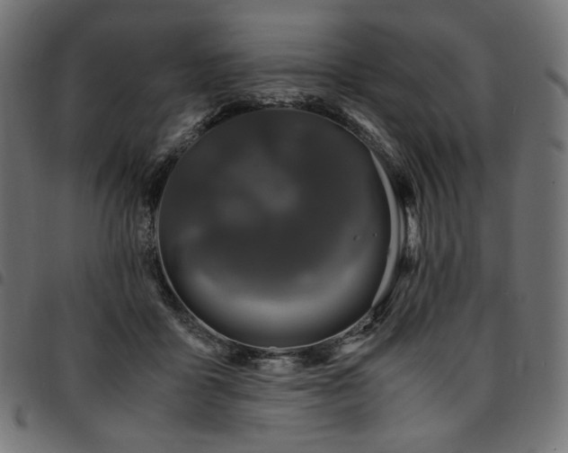 X0000095540411200712141529