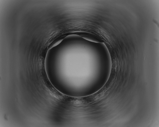 X0000095540412200712141529