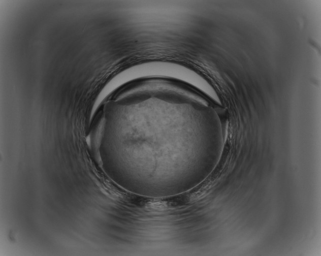 X0000095540413200712141529