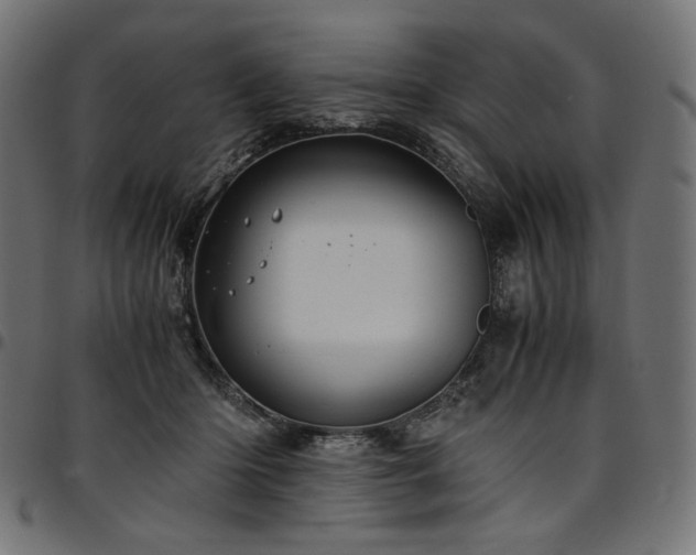 X0000095540414200712141529