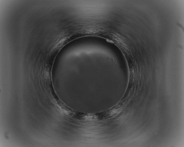 X0000095540415200712141529