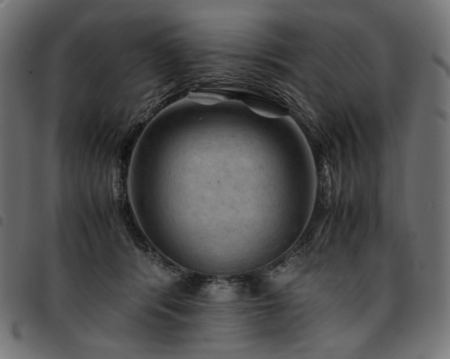 X0000095540416200712141529