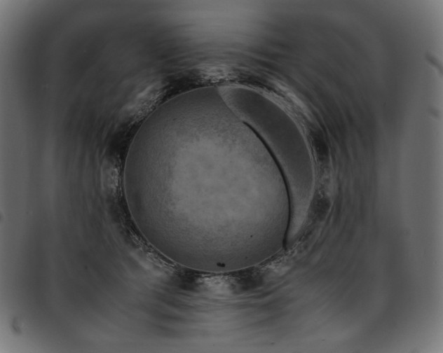 X0000095540417200712141529