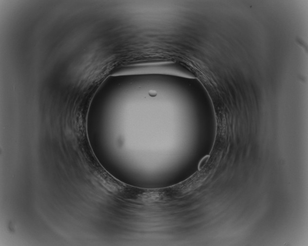 X0000095540418200712141529