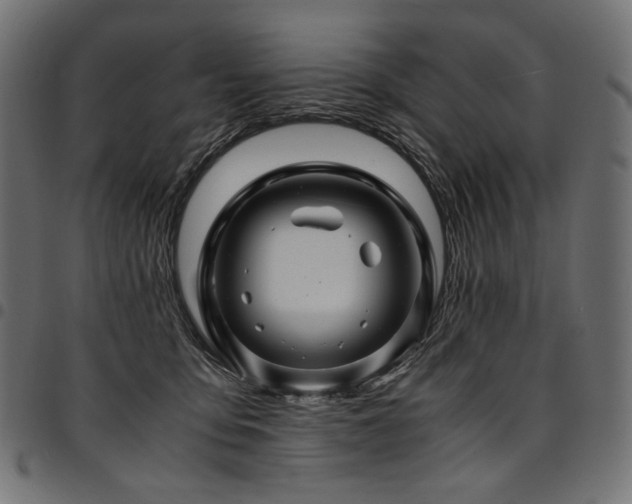 X0000095540419200712141529