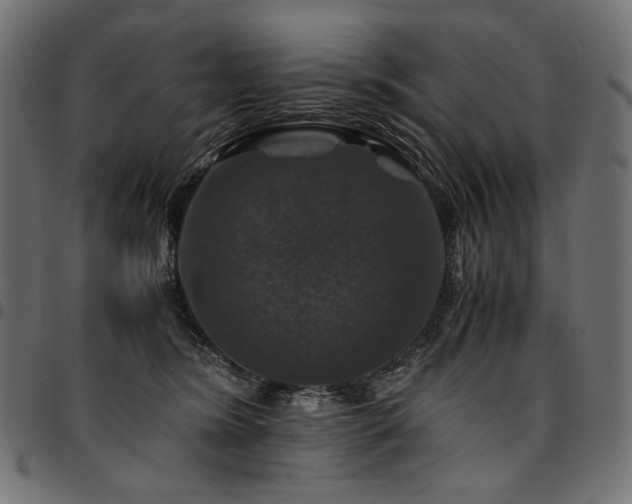 X0000095540420200712141529