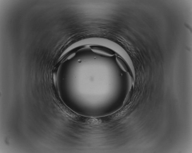 X0000095540421200712141529