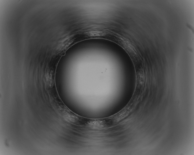 X0000095540422200712141529