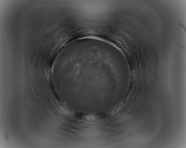 X0000095540423200712141529