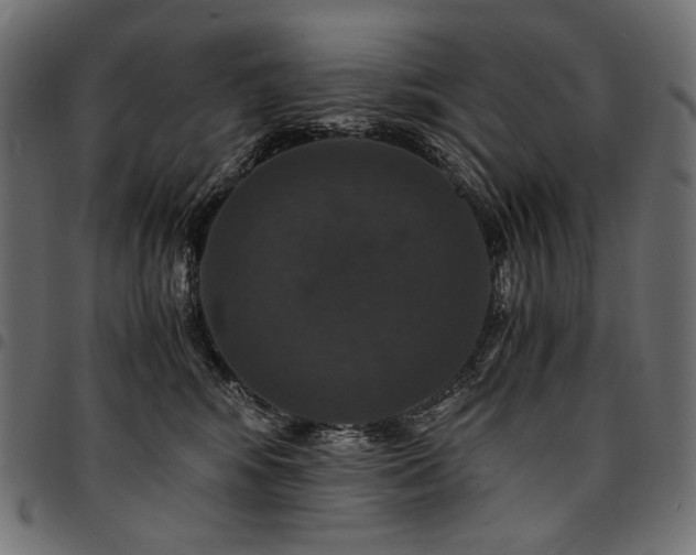 X0000095540424200712141529