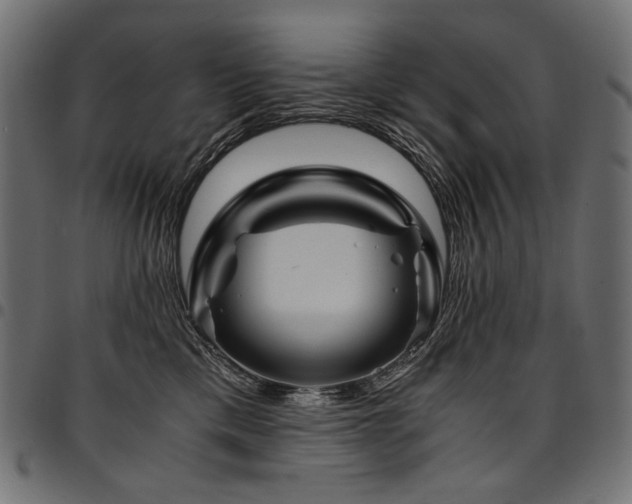 X0000095540425200712141529