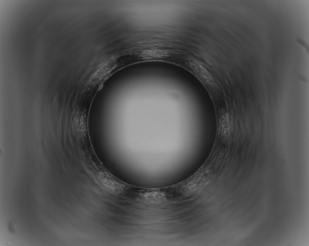 X0000095540426200712141529